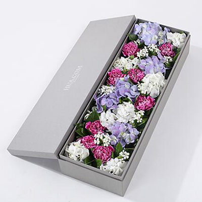 紫色白邊康乃馨8枝、白繡球1枝、藍(lán)紫色繡球1枝